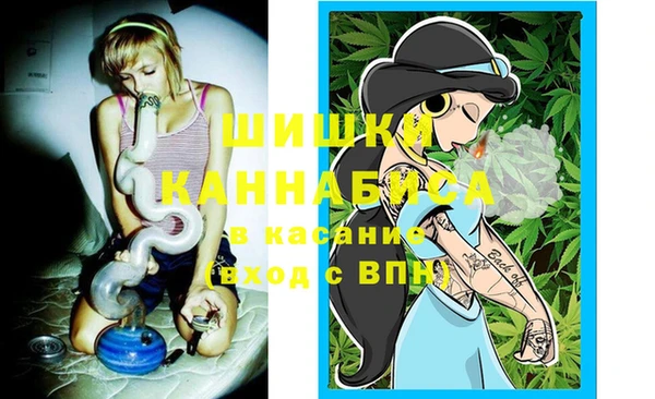 индика Алексеевка