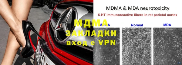 индика Алексеевка