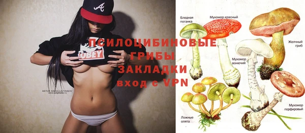 индика Алексеевка