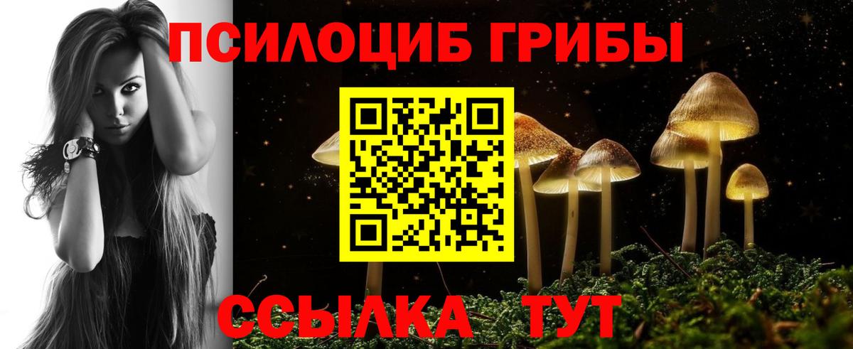Псилоцибиновые грибы GOLDEN TEACHER  Вход с VPN  Воткинск  Галлюциногенные грибы GOLDEN TEACHER 